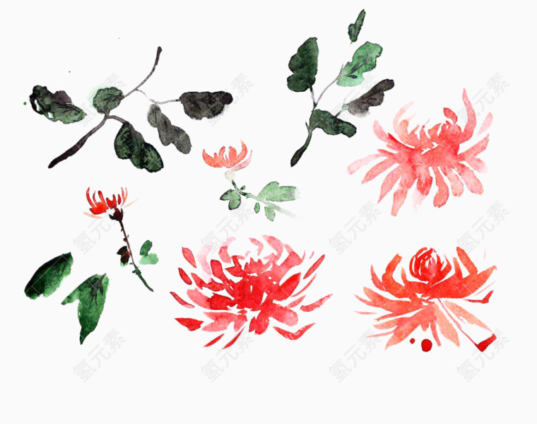 手绘墨菊图片素材