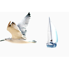 海鸥和帆船元素