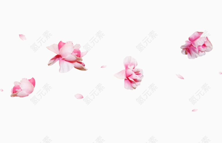 飞舞的花朵