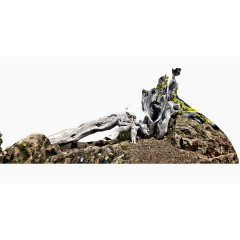 枯萎的树干石头素材