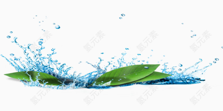 绿叶上溅起的水珠