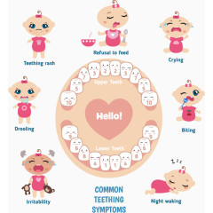 矢量卡通婴儿牙齿牙科保护注解