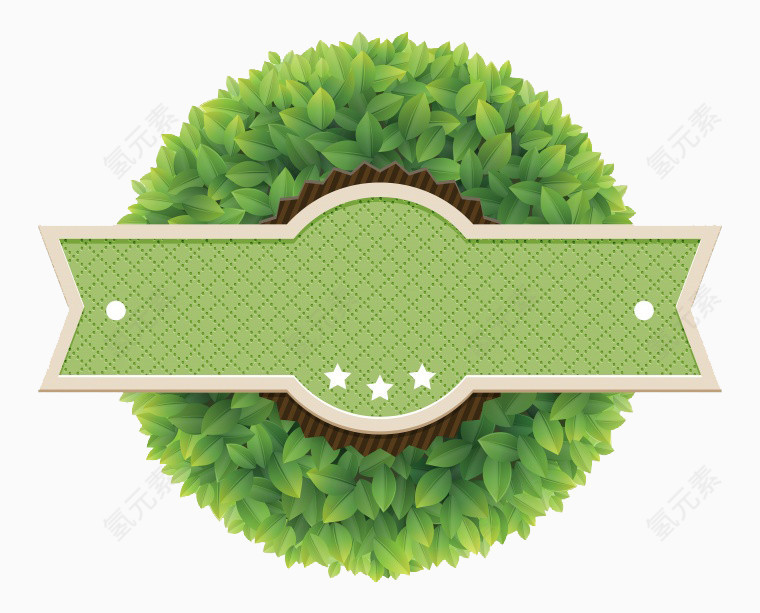 绿色植物