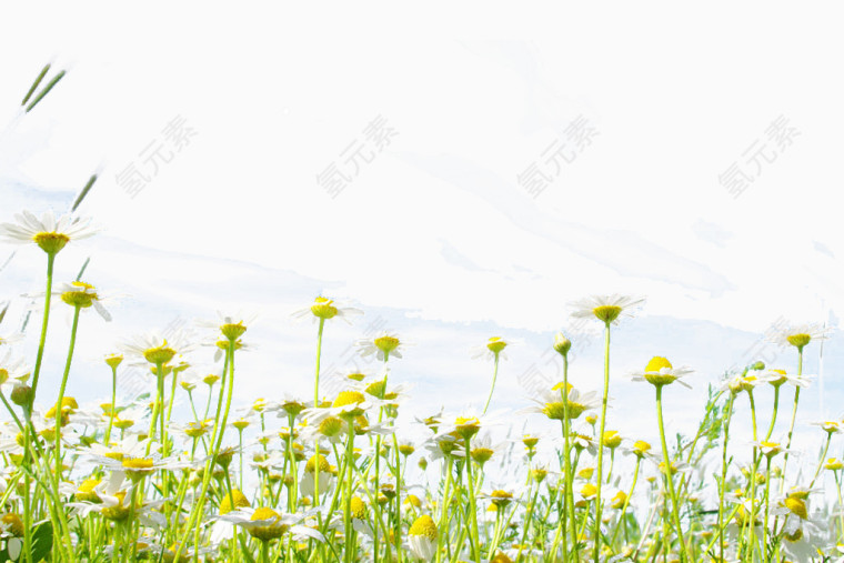 花海图案