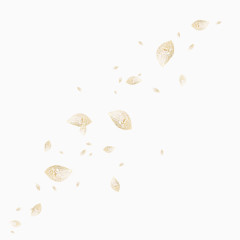 漂浮粉色花瓣素材