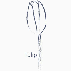 手绘线条郁金香矢量素材
