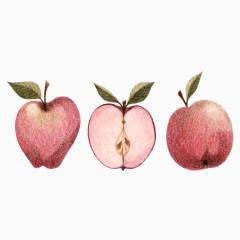 手绘切开的苹果图