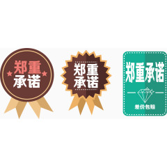 扁平风格郑重承诺矢量图