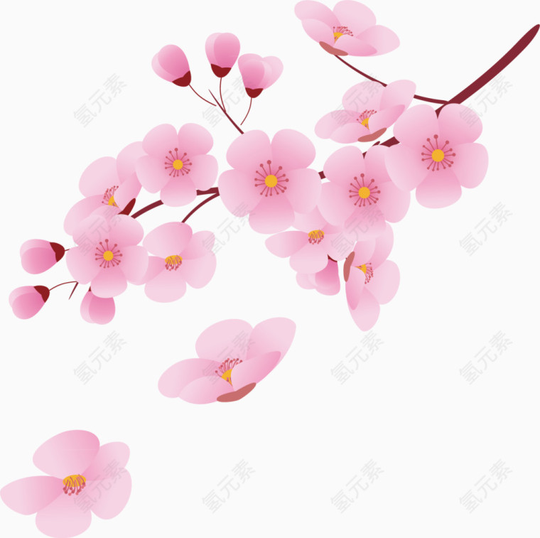 樱花花瓣元素