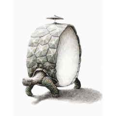 创意设计-鼓形状乌龟