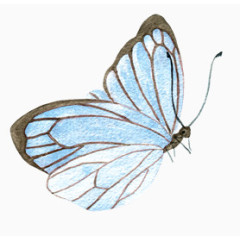 水墨油画水彩蝴蝶