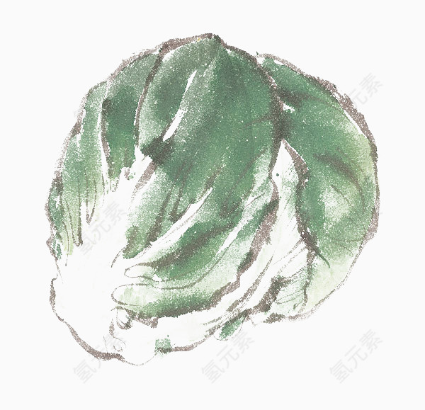 白菜水墨