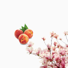 浪漫桃花节旅游地宣传素材