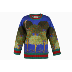 纯棉圆领长袖时尚休闲女士卫衣