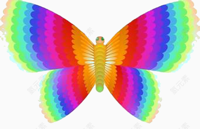 彩虹蝴蝶