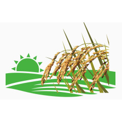 矢量播种水稻