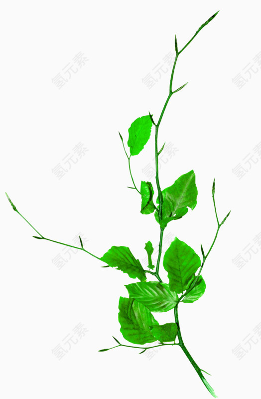 清新绿色植物装饰图案