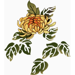 菊花