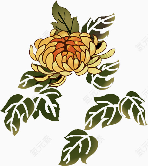 菊花