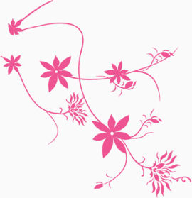 花，粉色，粉色花，淘宝素材
