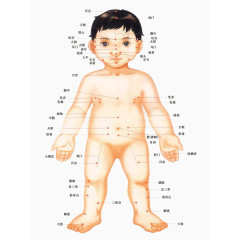 儿童穴位全身图