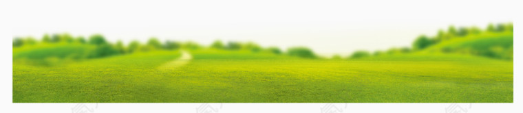 清新草地草坪