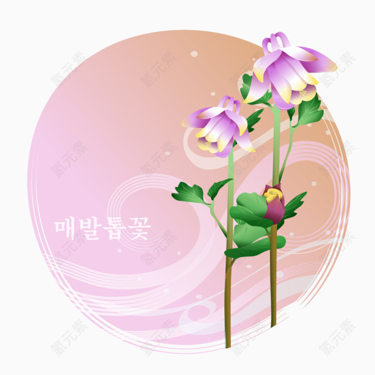 金钱艾活血丹矢量素材