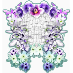 花朵 兰花 百合