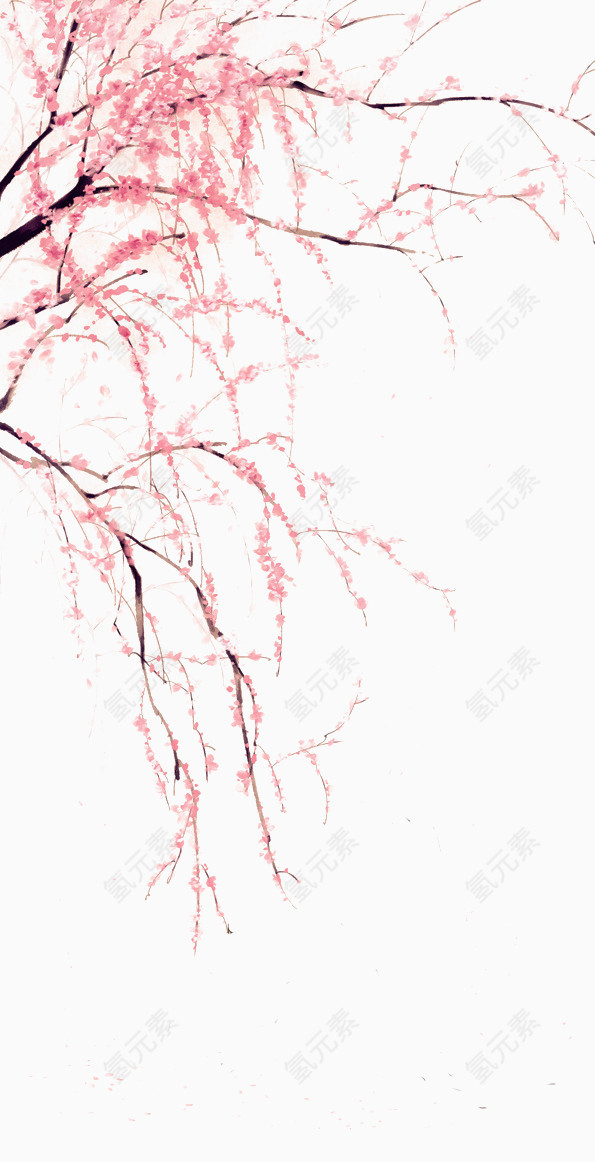 手绘樱花素材