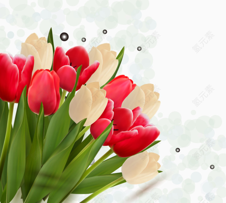 一束郁金香气泡装饰