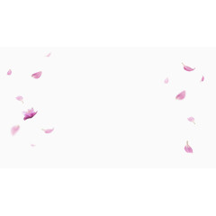 粉色清新花瓣漂浮素材