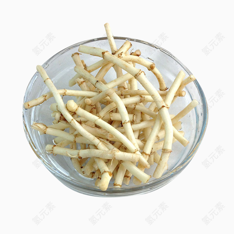 可食用鱼腥草免抠素材