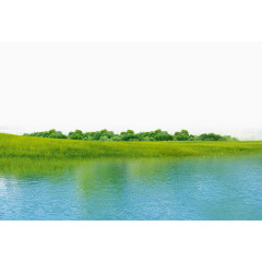 大自然绿色河流