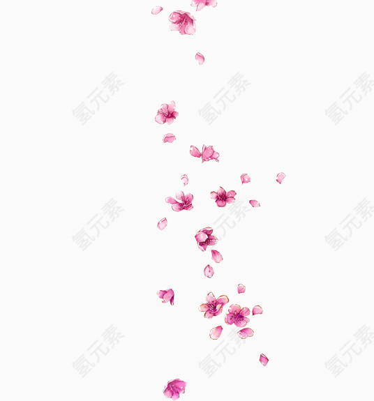飘落的梅花