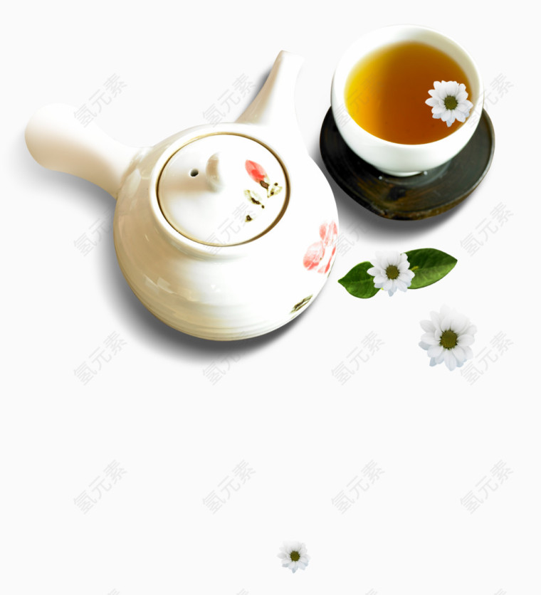 白菊花茶