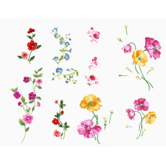 水彩花卉素材