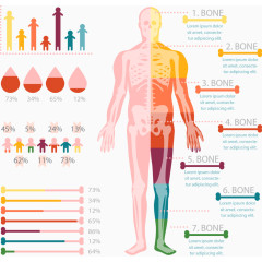 矢量手绘人体数据