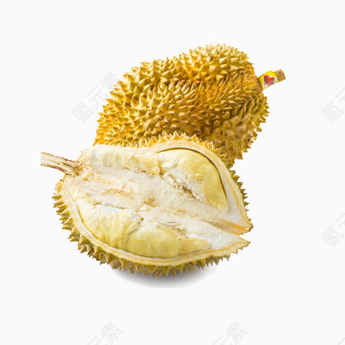 榴莲