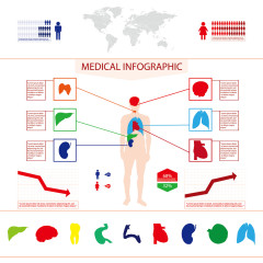 医学方面图 矢量图