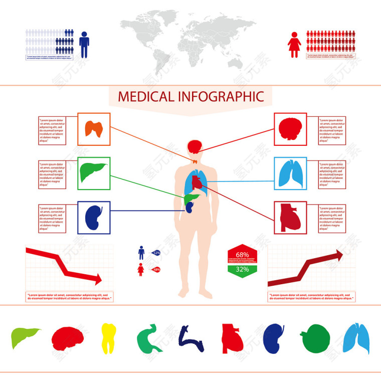 医学方面图 矢量图