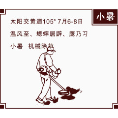 手绘小暑插图矢量图