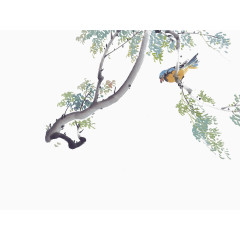 小鸟