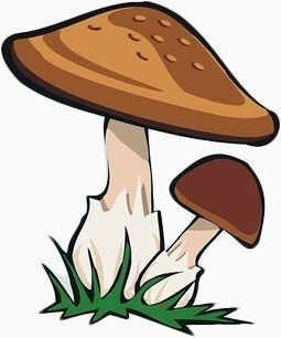 手绘蘑菇素材