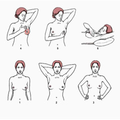 关爱乳房按摩乳房示意图