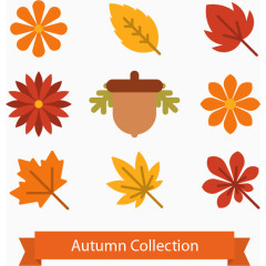 秋天树叶枫叶黄色矢量