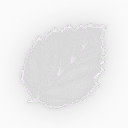 透明叶子效果元素