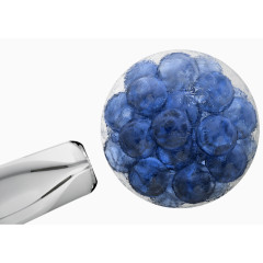 干细胞移植技术