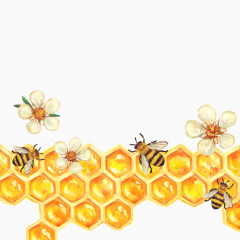 矢量蜜蜂蜂巢