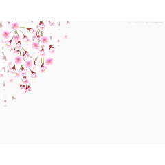 樱花坠落图片素材