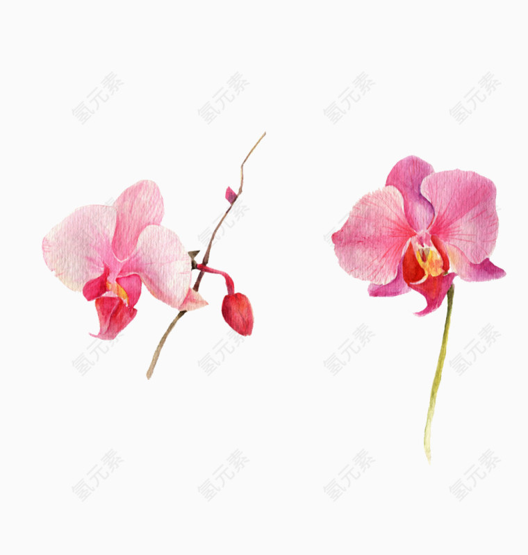 矢量水粉花卉